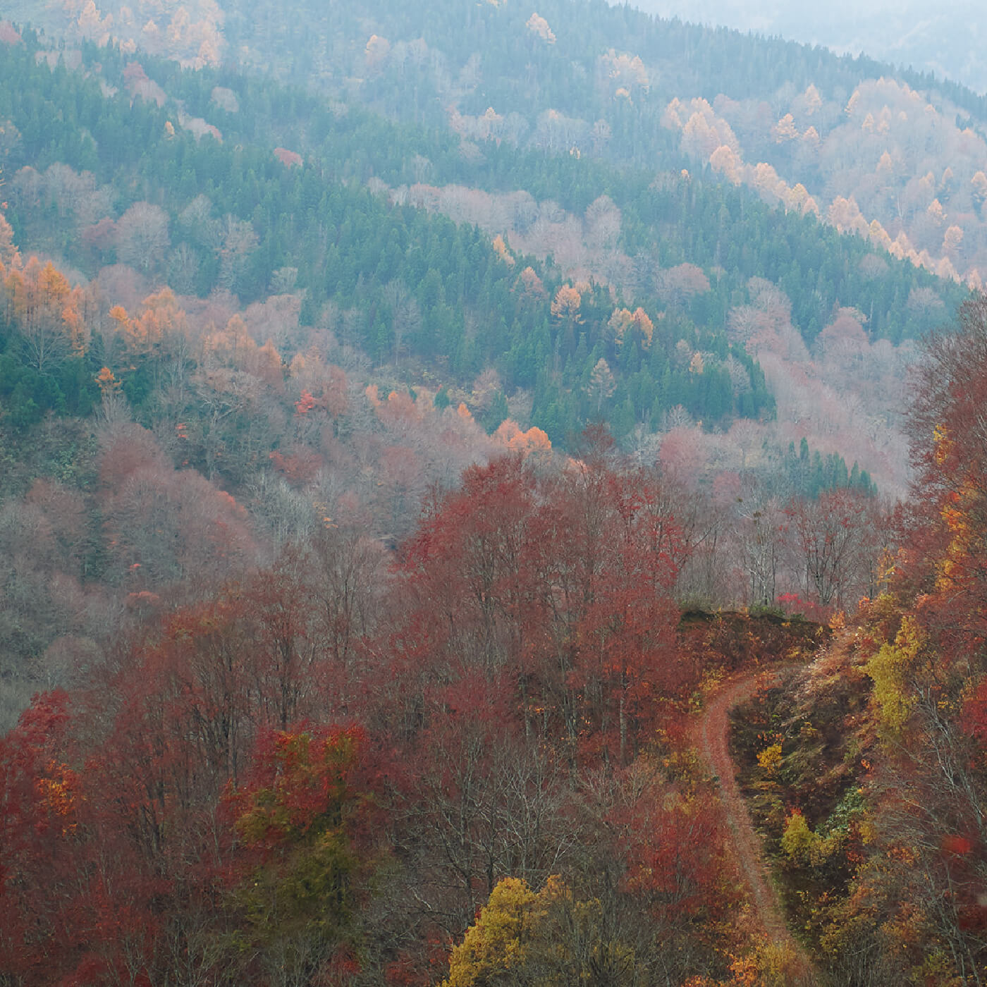 山