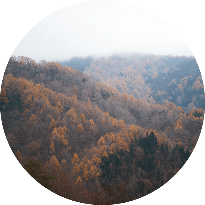 利賀村